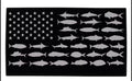 Fish Flag